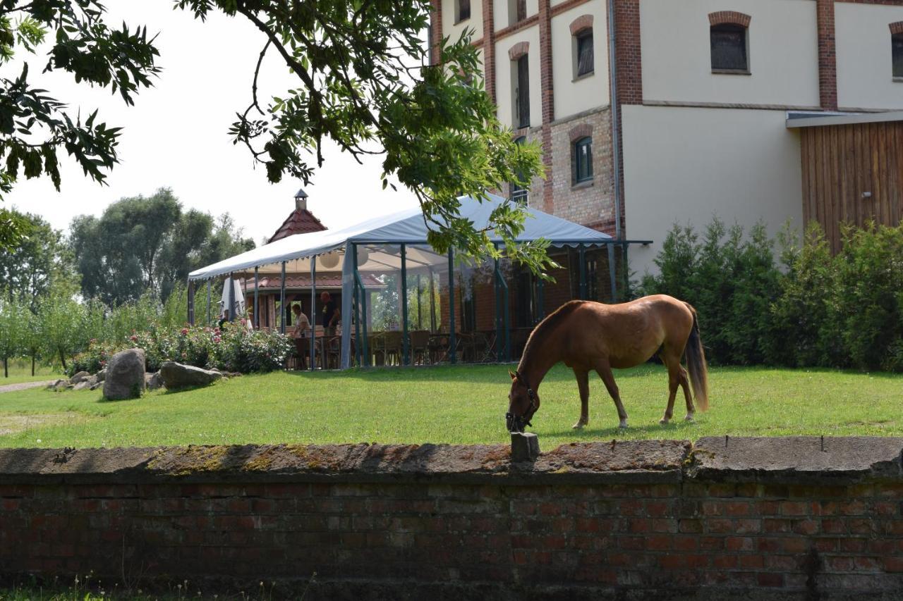 Ferienanlage Gutshaus Gramkow Bagian luar foto